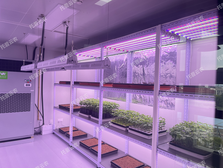 1773650279914258.png 圖片9.png