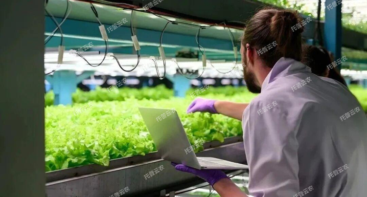 1773818139767069.jpg 圖片19.jpg