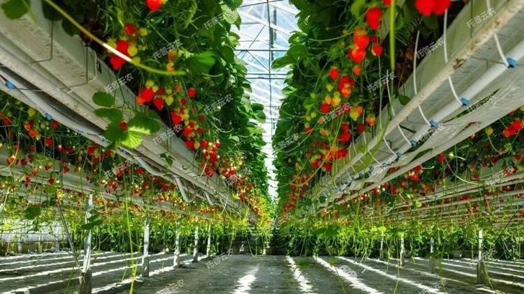 1773818160938884.jpg 圖片20.jpg